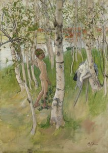 Nagi chłopiec wśród brzóz, 1898 (wc na papierze)