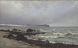 Wodorosty są ładowane na Hornbæk Strand autorstwa Carl Locher