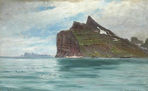 Widok z Przylądka Północnego na Islandii podczas królewskiej duńskiej podróży statkiem SS Birma w 1907 r. autorstwa Carl Locher