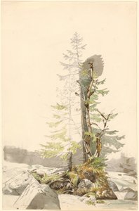 Grupa drzew nad skalistym potokiem w Ramsau autorstwa Carl Morgenstern