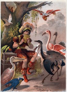 Papageno z fletem patelni sprowadza ptaki z lasu. Ilustracja Carla Offterdingera (1829-1889) w „”Zaczarowanym flecie”” (Die Zauberflote, flauto magico, Czarodziejski flet). Prywatna kolekcja.