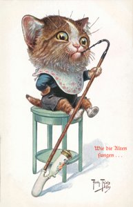 Humorystyczna pocztówka z kotem (kolorowa litografia) autorstwa Carl Robert Arthur Thiele