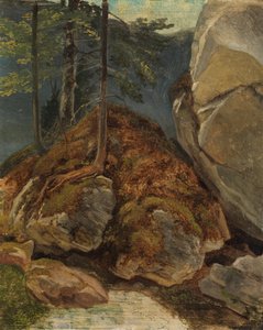 Badanie oleju ze skałą pokrytą mchem autorstwa Carl Spitzweg