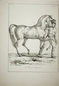 Gwardia królewska, Norman Cavalier, nie w pełnym stroju, i koń, nr 3 autorstwa Carle Vernet