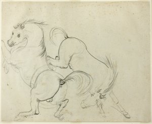 Cavorting dwóch koni (rekto); Człowiek na kopiącym koniu (verso) autorstwa Carle Vernet