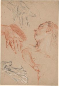 Arkusz studiów autorstwa Carle van Loo