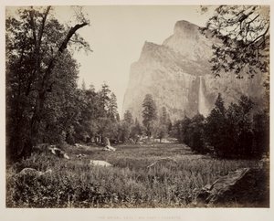 Welon ślubny, Yosemite, ok. 1930 r. 1865-1866. autorstwa Carleton E. Watkins