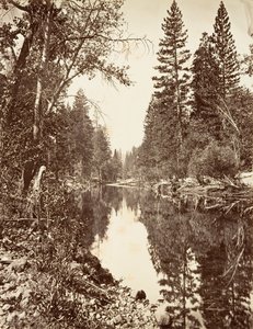 Rzeka Merced, Yosemite, ca. 1872, wydrukowany ca. 1876.