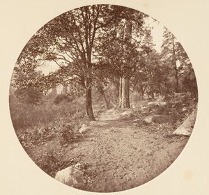 W Dolinie Yosemite, ca. 1878. autorstwa Carleton Emmons Watkins