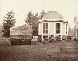 Dom nad pniem wielkiego drzewa, 1865-66, druk ok. 1876. autorstwa Carleton Emmons Watkins