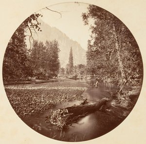 [Park Narodowy Yosemite, Kalifornia], ca. 1878. autorstwa Carleton Emmons Watkins