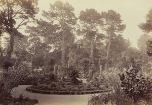  autorstwa Carleton Watkins