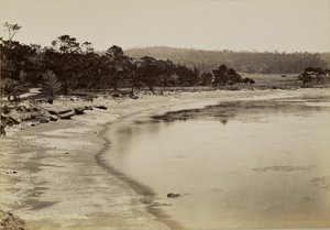  autorstwa Carleton Watkins