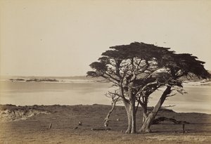  autorstwa Carleton Watkins