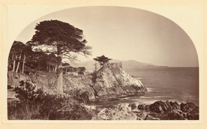  autorstwa Carleton Watkins