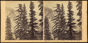 Half Dome i Vernal Fall, z South Fork autorstwa Carleton Watkins