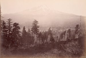  autorstwa Carleton Watkins
