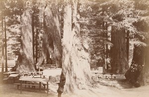  autorstwa Carleton Watkins