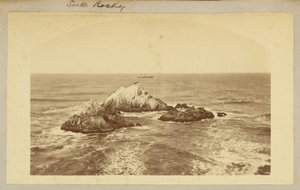 Seal Rocks. autorstwa Carleton Watkins