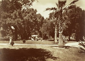 [Thurlow Lodge - Namiot i grupa rodzinna]. autorstwa Carleton Watkins