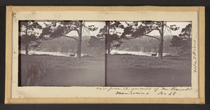Widok z terenu pana Freundta, Mendocino autorstwa Carleton Watkins