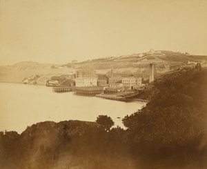  autorstwa Carleton Watkins