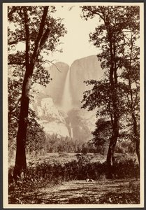 Wodospad Yosemite autorstwa Carleton Watkins