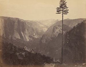 Dolina Yosemite z najlepszego widoku ogólnego autorstwa Carleton Watkins
