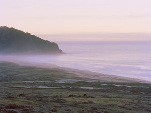 Big Sur, 2014 r.
