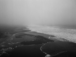 Forever at the Sea, 2012