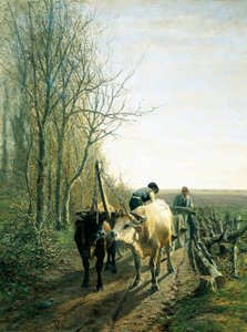 Przewidywany podatek (woły zaprzężone do wozu)