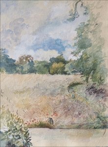 Lato 2007 (pastel i wc na papierze)