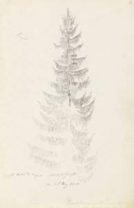 Świerk autorstwa Caspar David Friedrich