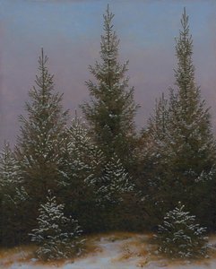 Gęsty las świerkowy w śniegu (Z „Dresdner Heide I”) autorstwa Caspar David Friedrich