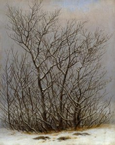 Krzewy na śniegu autorstwa Caspar David Friedrich