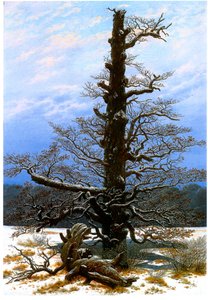 Niemiecki: Eichbaum im Schnee Drzewo dębowe w śniegu autorstwa Caspar David Friedrich