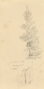 niemiecki: Studie mit Fichten und Felsen Studium świerków i skały autorstwa Caspar David Friedrich