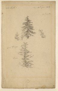 Niemiecki: Zwei Tannenstudien Dwa badania drzew jodłowych autorstwa Caspar David Friedrich