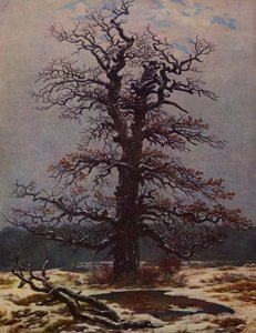 Dąb w śniegu autorstwa Caspar David Friedrich