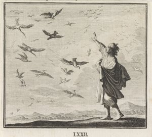 Emblemat: ptaki autorstwa Caspar Luyken