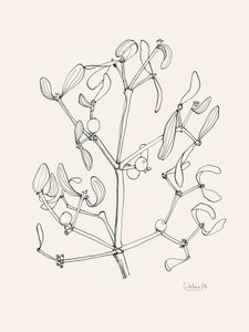 Świąteczna grafika przedstawiająca jemiołę