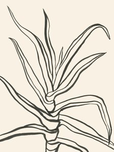 Minimalistyczny szkic rośliny