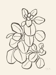 Rysunek liścia metodą organiczną