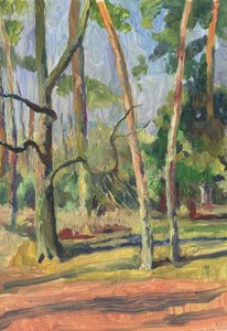 Oświetlona słońcem leśna ścieżka