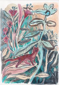 Kapryśny kot z dżungli autorstwa Catalina Somolinos