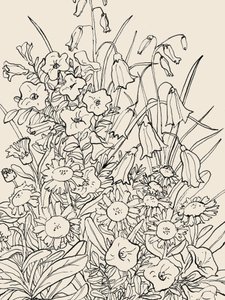 Dzikie kwiaty ogrodowe autorstwa Catalina Somolinos