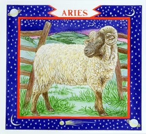 Baran (wc na papierze) autorstwa Catherine Bradbury
