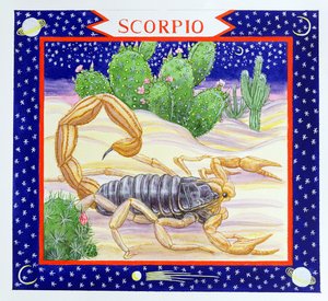 Skorpion (wc na papierze)