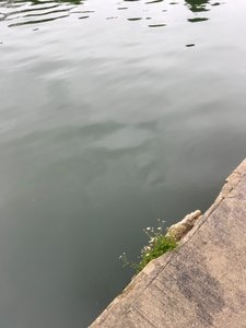 Skład, 2019 (zdjęcie)