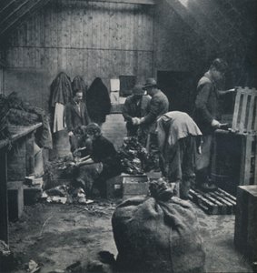 Warzywa na targ, 1941